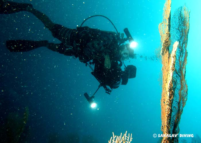 diving photo video in Madagascar